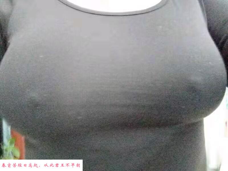 深圳白牡丹 第4张
