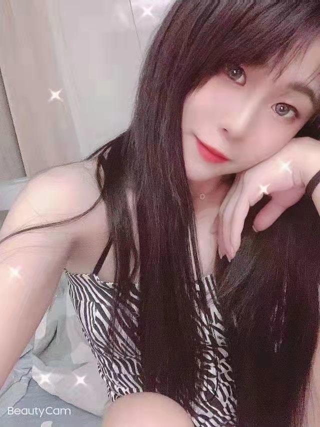 未央区小可爱猫猫 第2张